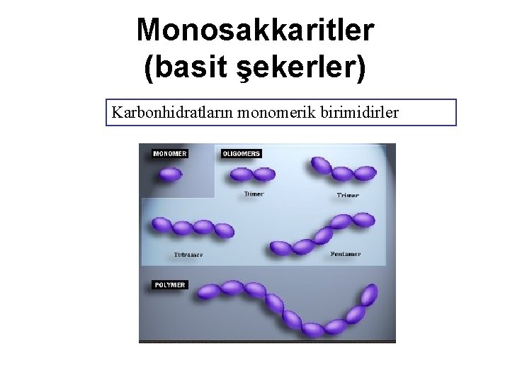 Monosakkaritler (basit şekerler) Karbonhidratların monomerik birimidirler 