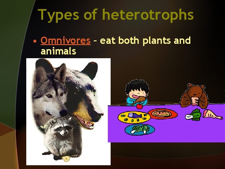 Chapter 3 The Biosphere Section 3 1 What