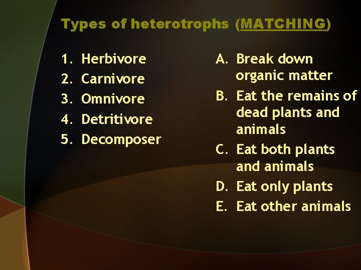 Chapter 3 The Biosphere Section 3 1 What