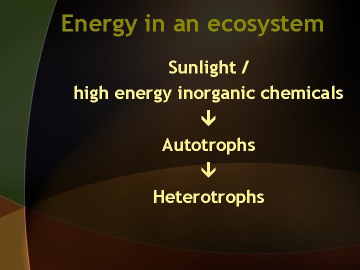 Energy in an ecosystem Sunlight / high energy inorganic chemicals Autotrophs Heterotrophs 