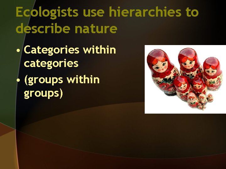 Ecologists use hierarchies to describe nature • Categories within categories • (groups within groups)