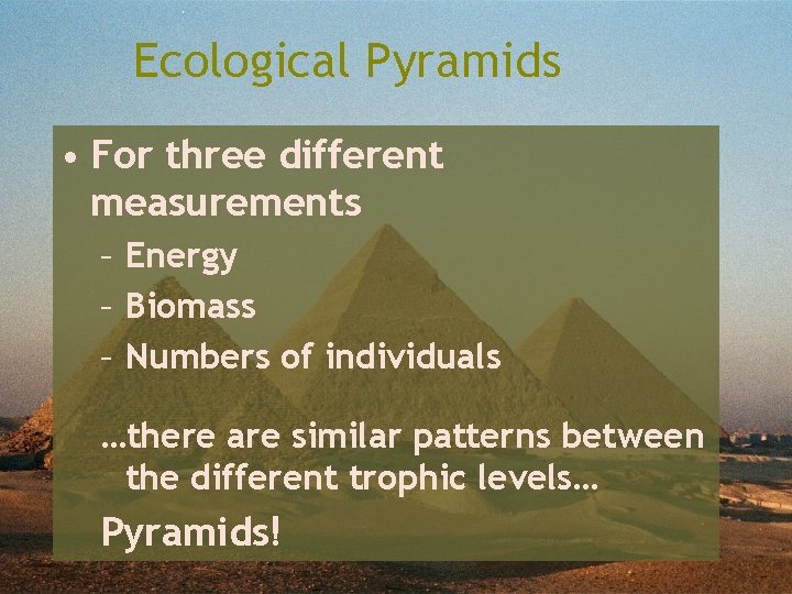 Ecological Pyramids • For three different measurements – Energy – Biomass – Numbers of