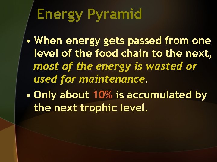Energy Pyramid • When energy gets passed from one level of the food chain