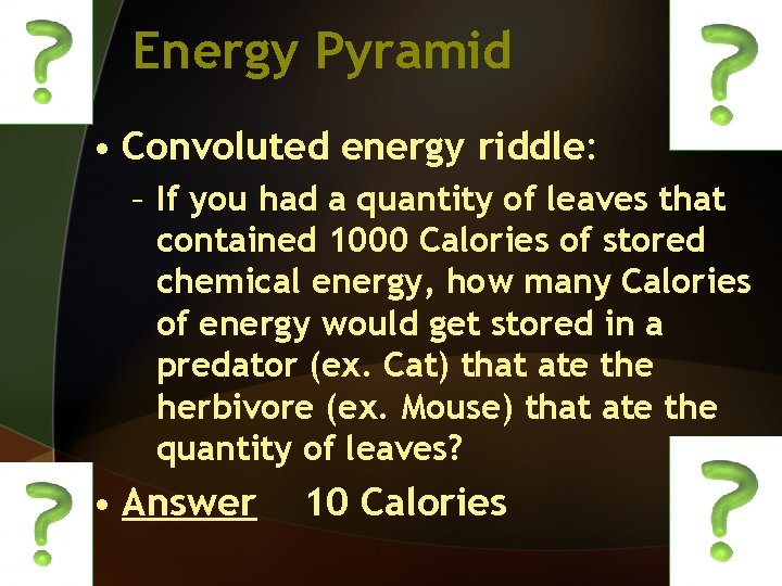 Energy Pyramid • Convoluted energy riddle: – If you had a quantity of leaves