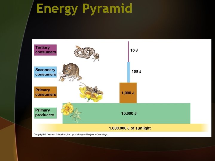Energy Pyramid 