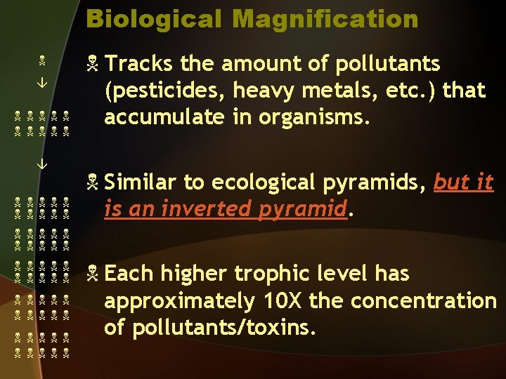Biological Magnification Tracks the amount of pollutants (pesticides, heavy metals, etc. ) that accumulate