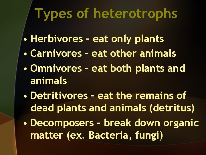 Types of heterotrophs • Herbivores – eat only plants • Carnivores – eat other