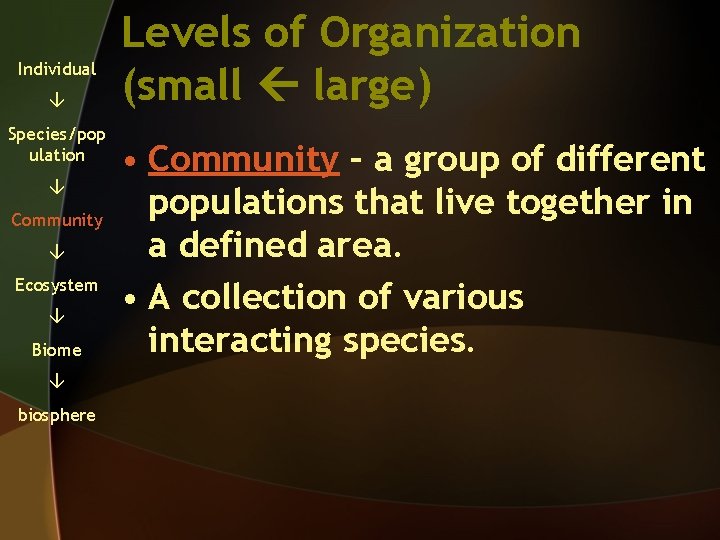 Individual Species/pop ulation Community Ecosystem Biome biosphere Levels of Organization (small large) • Community