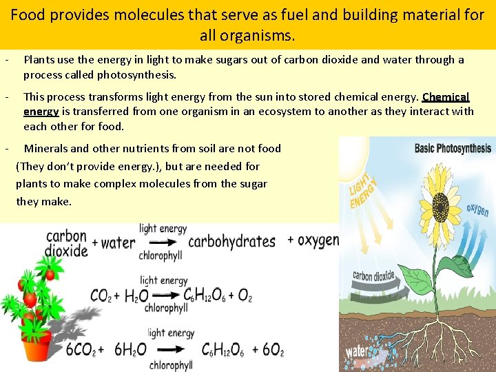 Food provides molecules that serve as fuel and building material for all organisms. -
