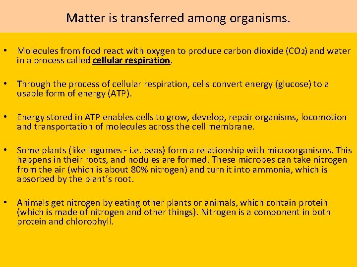 Matter is transferred among organisms. • Molecules from food react with oxygen to produce