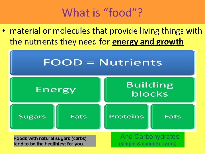 What is “food”? • material or molecules that provide living things with the nutrients
