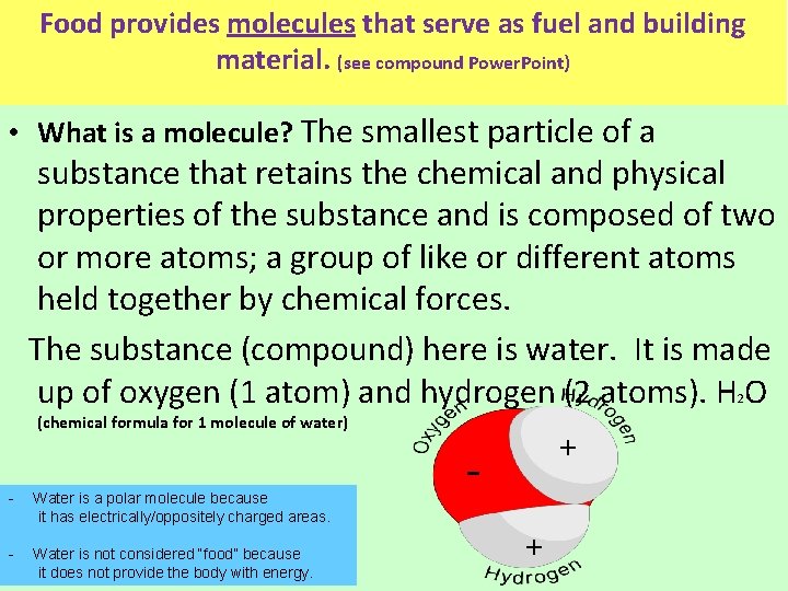 Food provides molecules that serve as fuel and building material. (see compound Power. Point)