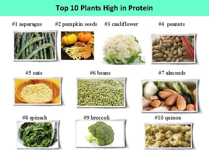 Top 10 Plants High in Protein #1 asparagus #5 oats #8 spinach #2 pumpkin
