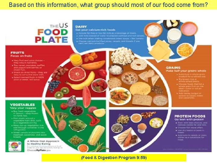 Based on this information, what group should most of our food come from? b