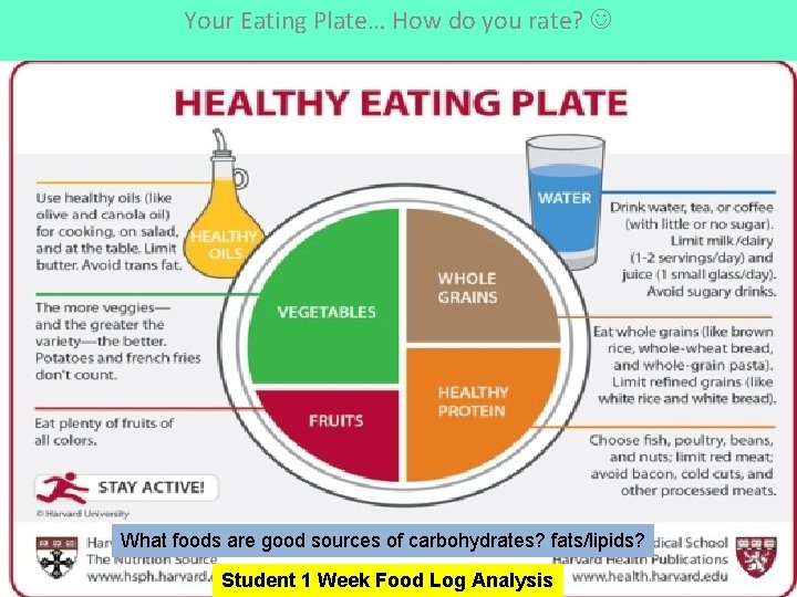 Your Eating Plate… How do you rate? What foods are good sources of carbohydrates?