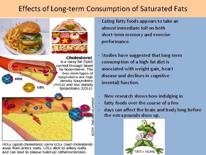 Effects of Long-term Consumption of Saturated Fats - Eating fatty foods appears to take