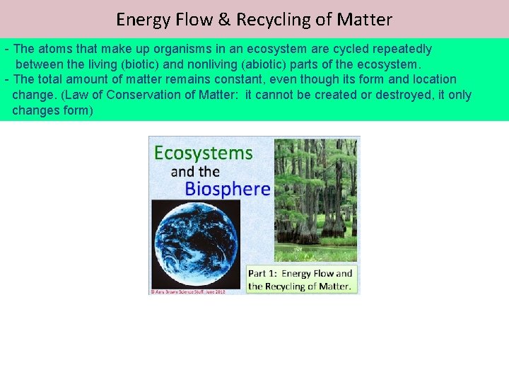 Energy Flow & Recycling of Matter - The atoms that make up organisms in
