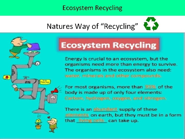 Ecosystem Recycling Natures Way of “Recycling” 
