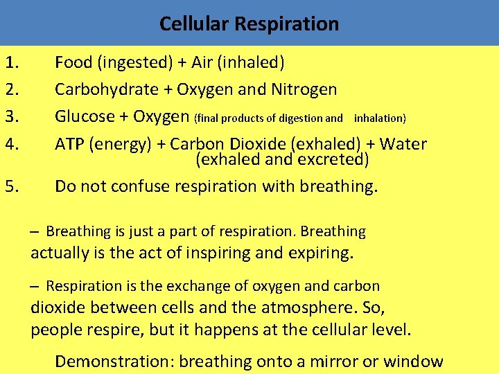 Cellular Respiration 1. Food (ingested) + Air (inhaled) 2. Carbohydrate + Oxygen and Nitrogen