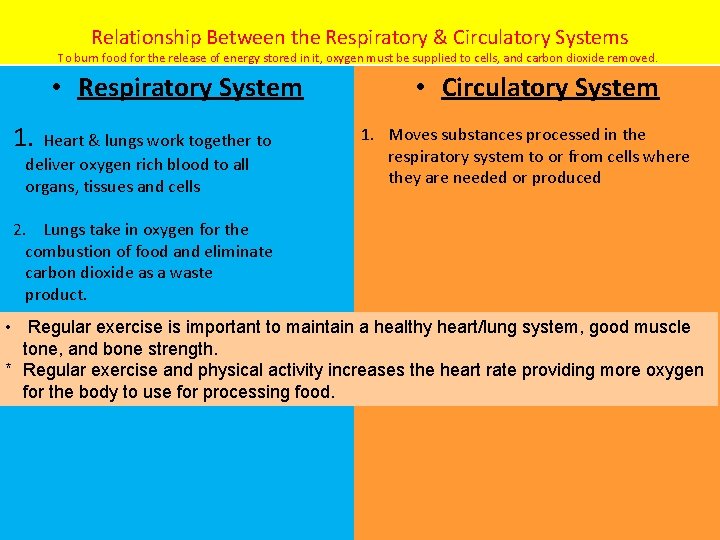 Relationship Between the Respiratory & Circulatory Systems To burn food for the release of