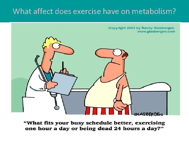 What affect does exercise have on metabolism? 