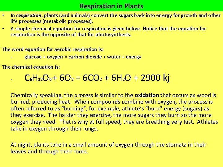 Respiration in Plants • • In respiration, plants (and animals) convert the sugars back