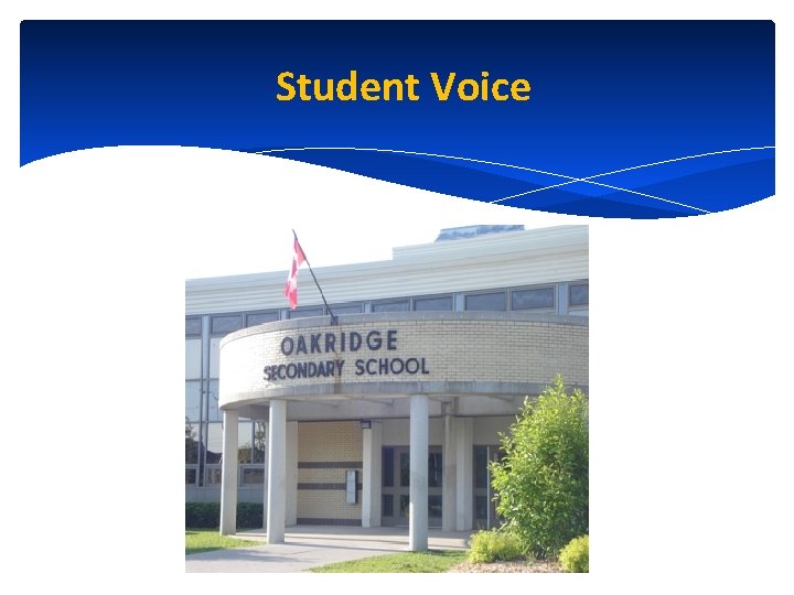 Student Voice 