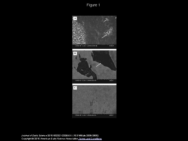 Figure 1 Journal of Dairy Science 2010 932321 -2329 DOI: (10. 3168/jds. 2009 -2800)