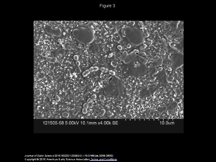 Figure 3 Journal of Dairy Science 2010 932321 -2329 DOI: (10. 3168/jds. 2009 -2800)