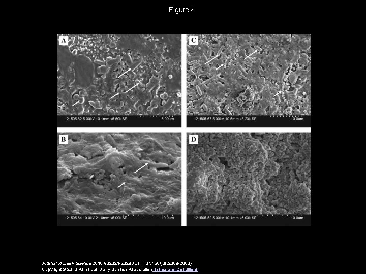 Figure 4 Journal of Dairy Science 2010 932321 -2329 DOI: (10. 3168/jds. 2009 -2800)