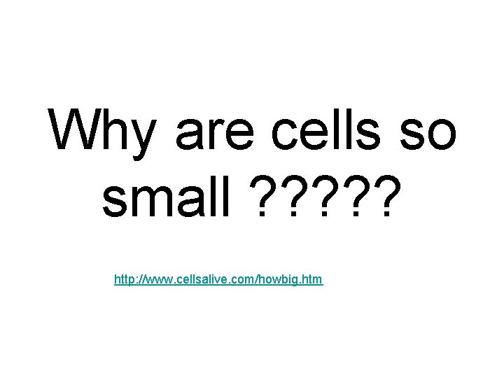 Why are cells so small ? ? ? http: //www. cellsalive. com/howbig. htm 