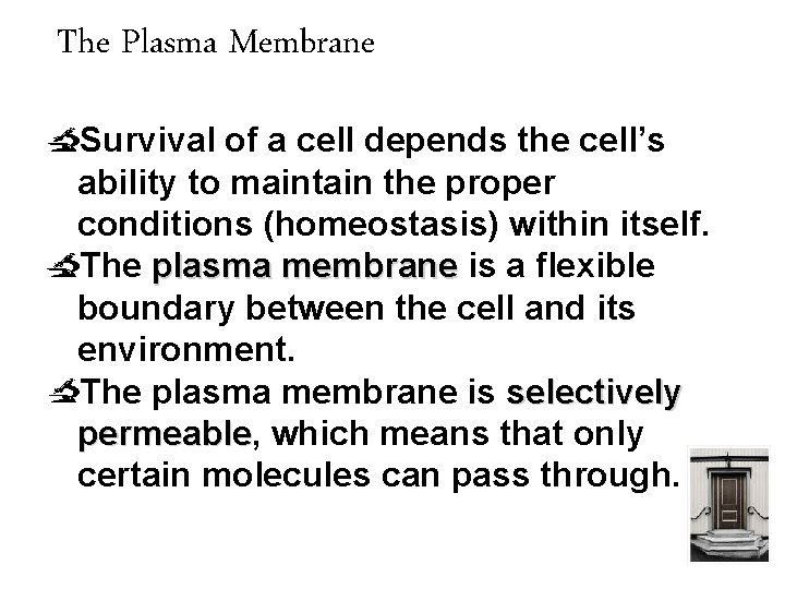 The Plasma Membrane Survival of a cell depends the cell’s ability to maintain the