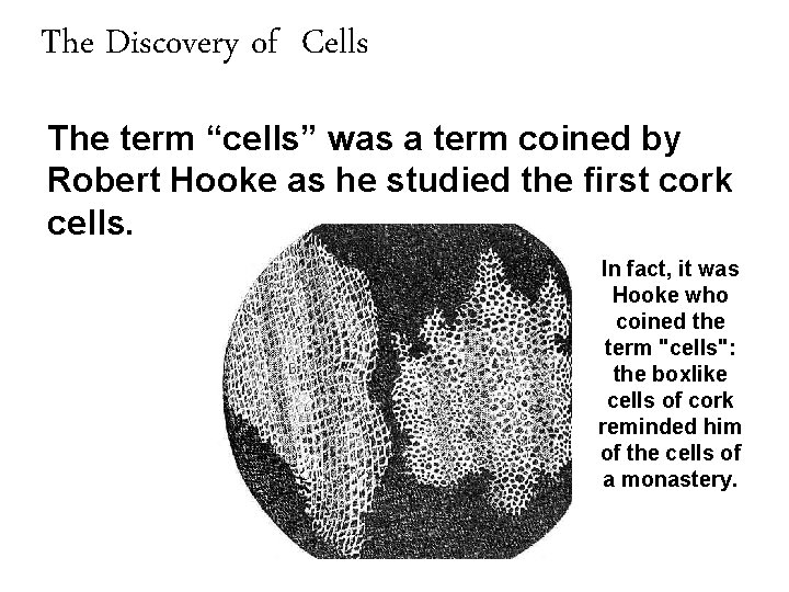 The Discovery of Cells The term “cells” was a term coined by Robert Hooke