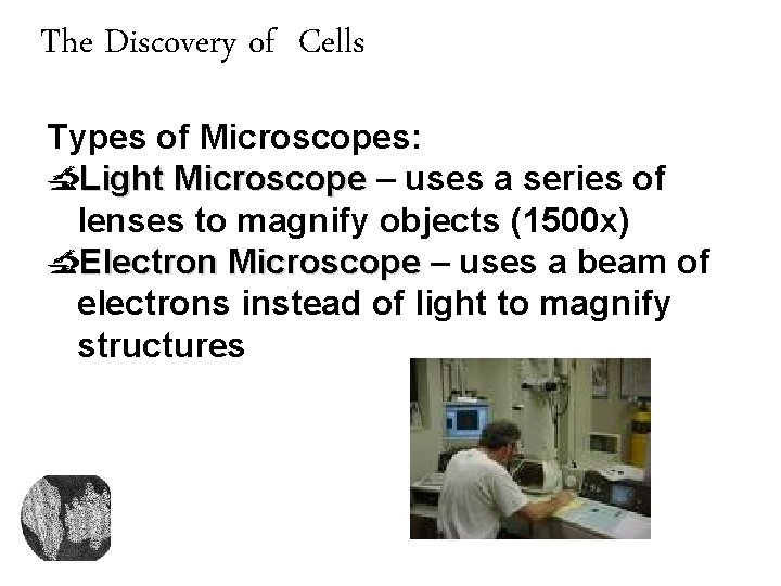 The Discovery of Cells Types of Microscopes: Light Microscope – uses a series of