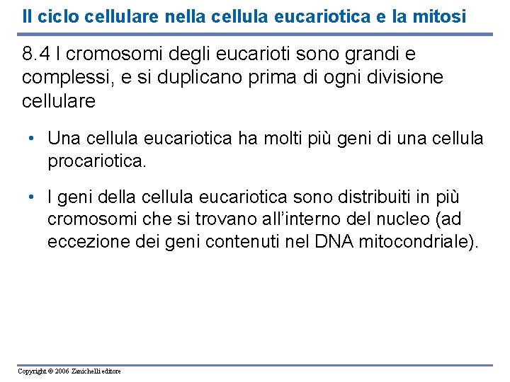 Il ciclo cellulare nella cellula eucariotica e la mitosi 8. 4 I cromosomi degli