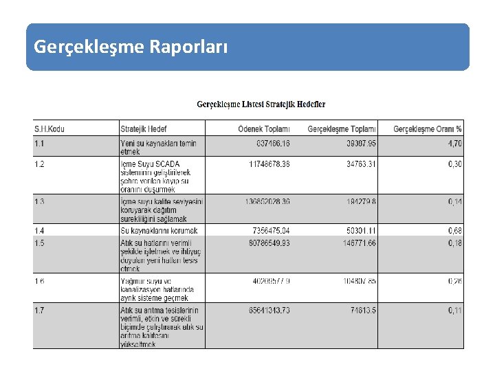 Gerçekleşme Raporları 