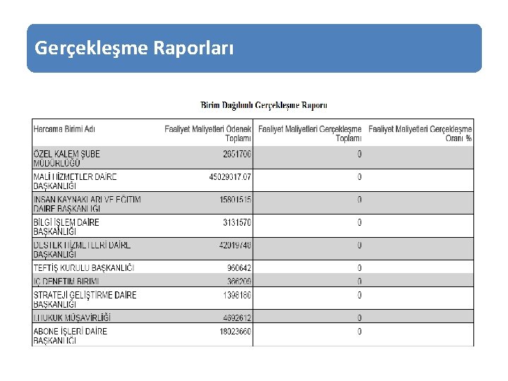 Gerçekleşme Raporları 