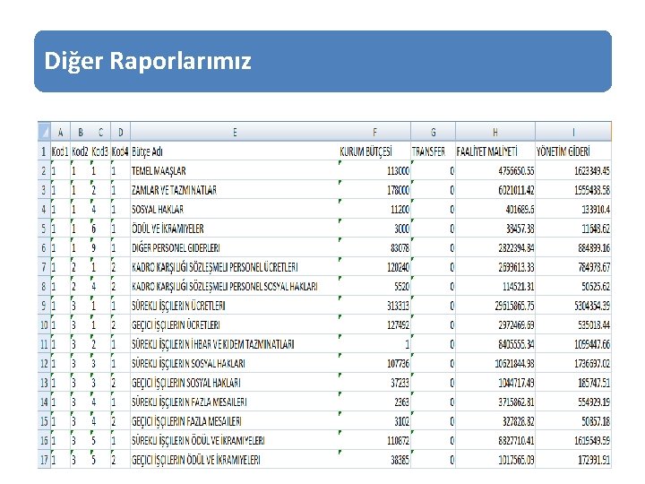 Diğer Raporlarımız 