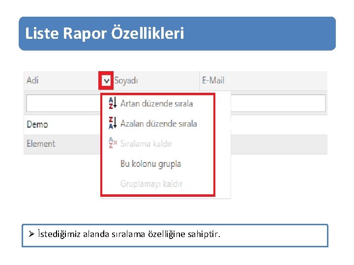 Liste Rapor Özellikleri Ø İstediğimiz alanda sıralama özelliğine sahiptir. 