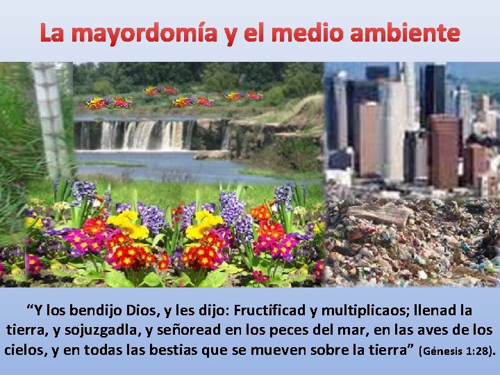 La mayordomía y el medio ambiente “Y los bendijo Dios, y les dijo: Fructificad