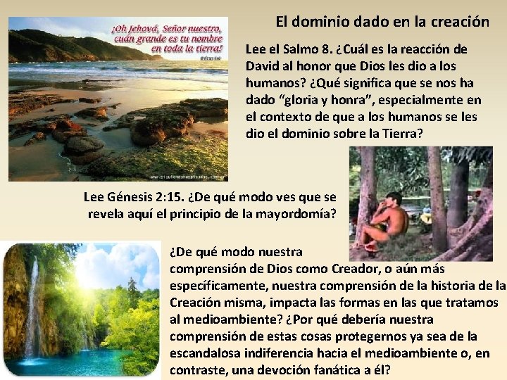 El dominio dado en la creación Lee el Salmo 8. ¿Cuál es la reacción