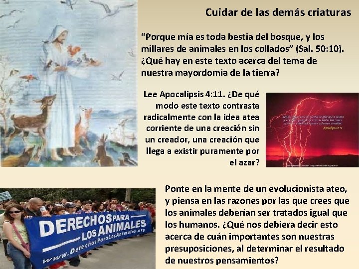 Cuidar de las demás criaturas “Porque mía es toda bestia del bosque, y los