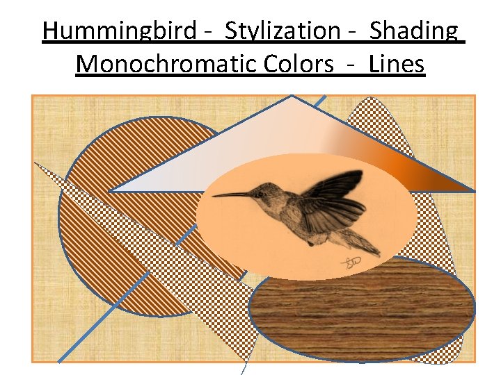 Hummingbird - Stylization - Shading Monochromatic Colors - Lines 