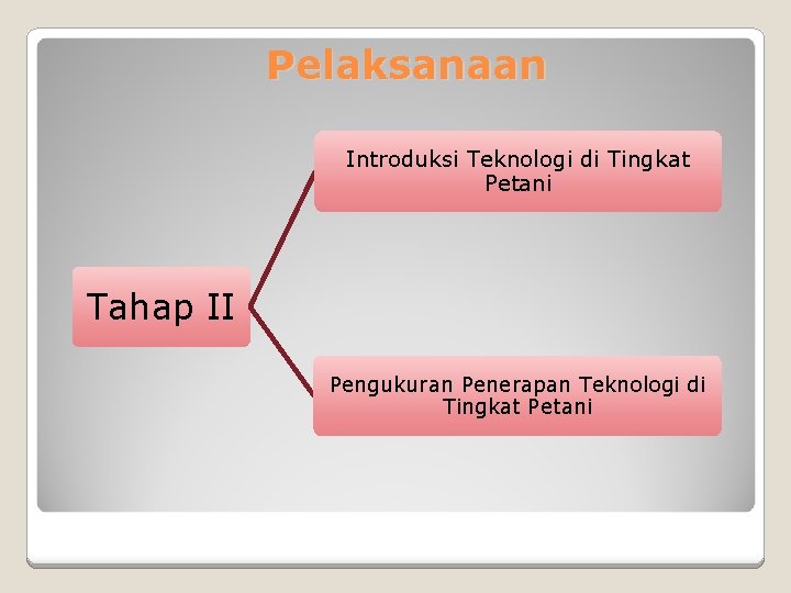Pelaksanaan Introduksi Teknologi di Tingkat Petani Tahap II Pengukuran Penerapan Teknologi di Tingkat Petani