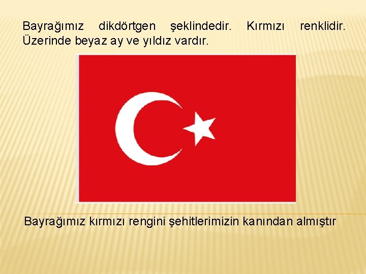 Bayrağımız dikdörtgen şeklindedir. Üzerinde beyaz ay ve yıldız vardır. Kırmızı renklidir. Bayrağımız kırmızı rengini