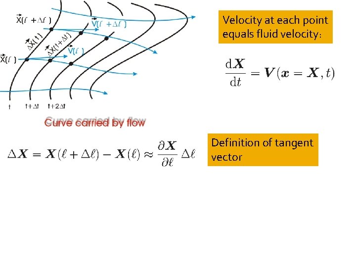 Velocity at each point equals fluid velocity: Definition of tangent vector 