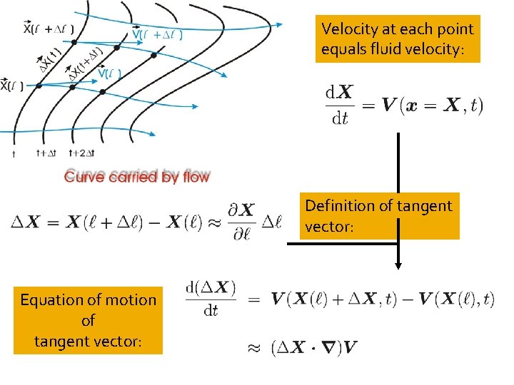 Velocity at each point equals fluid velocity: Definition of tangent vector: Equation of motion