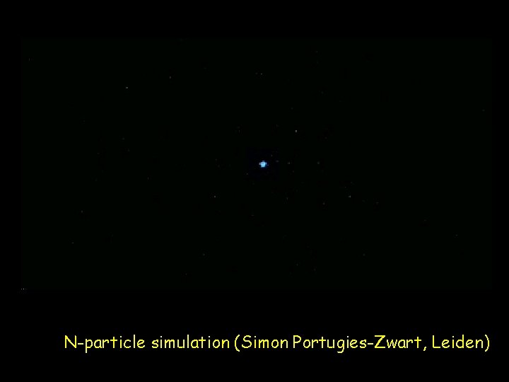 N-particle simulation (Simon Portugies-Zwart, Leiden) 