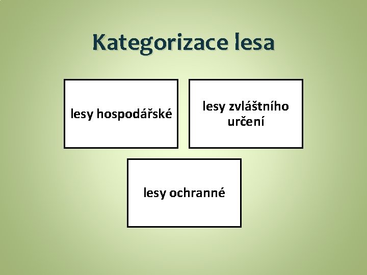 Kategorizace lesa lesy hospodářské lesy zvláštního určení lesy ochranné 