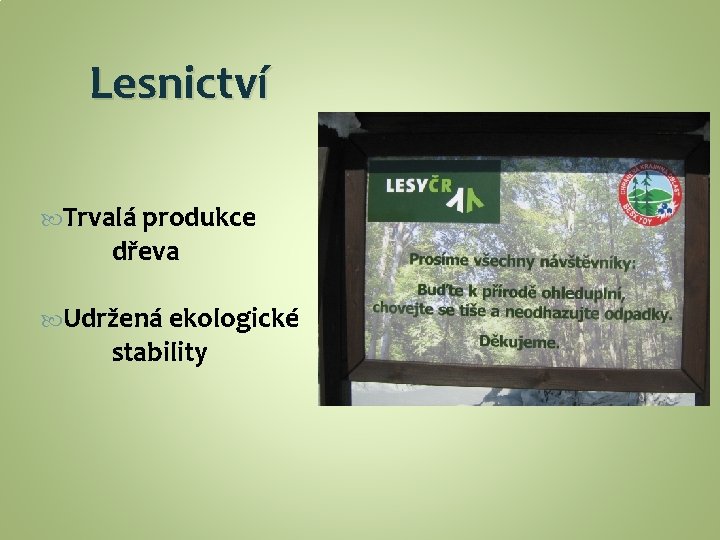 Lesnictví Trvalá produkce dřeva Udržená ekologické stability 